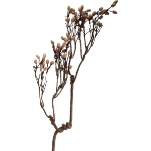 Декоративна гілка Clayre & Eef, натуральні коричневі відтінки, 30x4x85 см