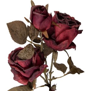 Декорація гілка з квітами червоного та зеленого, 12x12x70 см, Clayre & Eef