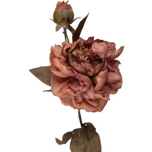 Декораційна гілка з квітами рожево-зеленого кольору,...