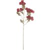 Декоративна гілка з квітами Clayre & Eef, червоний-зелений, 8x21x82 см