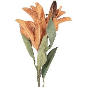 Декорація «Гілка з квітами» від Clayre &...