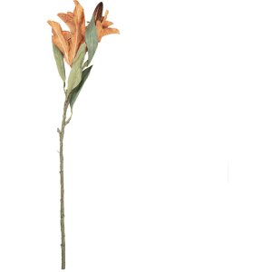 Декорація «Гілка з квітами» від Clayre &...