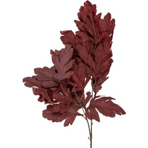 Декоративна гілка Clayre & Eef червоно-коричневого...