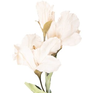 Декорація з гілок та квітами бежево-зеленого кольору,...