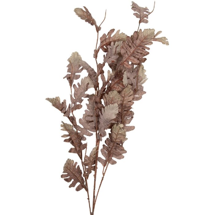 Декораційна гілка Clayre & Eef, бежево-коричнева, 10x15x108 см