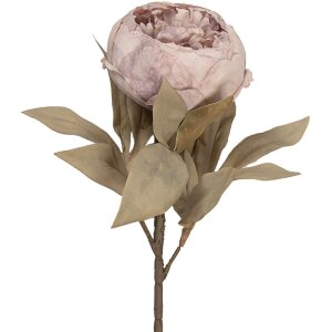 Штучна квітка Clayre & Eef 5PL0266BE,...