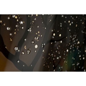 Муро Ферретті. Велична тканина з рамою «Павич» 70x100 см