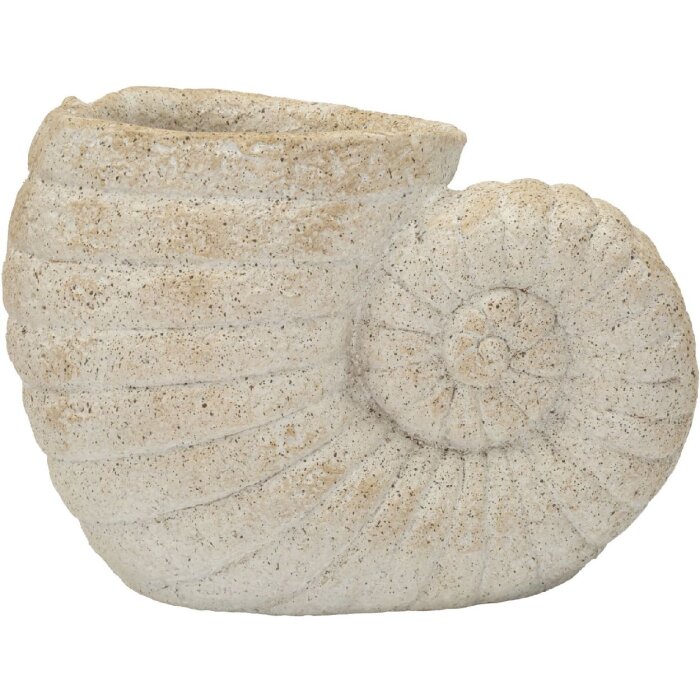 Ваза Mauro Ferretti SHELL SAND, бежевий, 33x19x23 см, форма мушлі