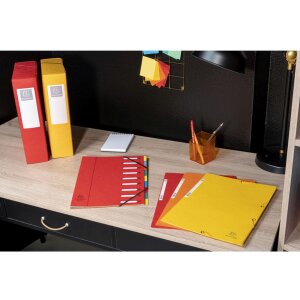 Папка Exacompta A4+ 400g Manila пастельных цветов с резинкой 24 x 32 см