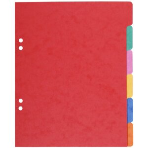 Exacompta Nature Future Register 17x22 cm mit 6 Taben,...