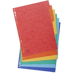 Exacompta 1406E Nature Future Register DIN A4 mit 6 Taben...