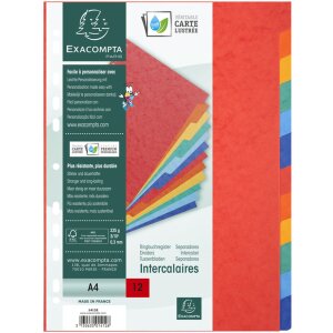 Exacompta Register A4 12-teilig farbig Manila Nature Future Serie