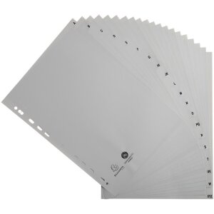 Exacompta 1720E Register DIN A4 mit 20 Taben, weiß, groß