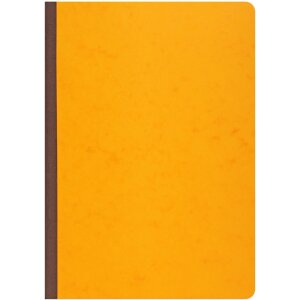 Exacompta Geschäftsbuch A4 2 Betragspalten 40 Blatt mattgrün