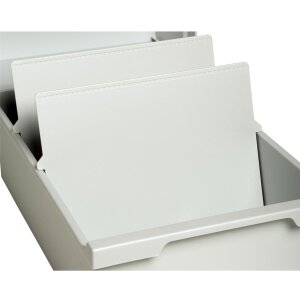 Exacompta Trennplatte DIN A6 quer Lichtgrau 2 Stück...