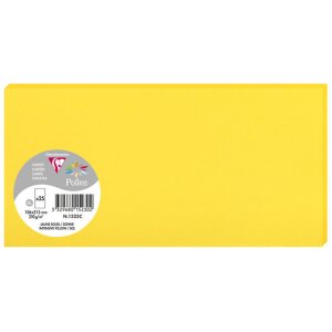 Pack 25 Karten Pollen, DL 106x213mm, 210g sonne