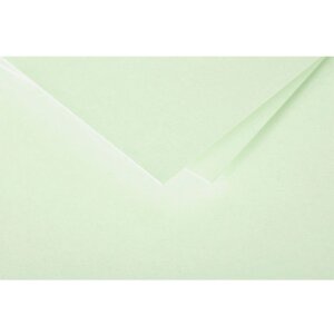 Clairefontaine Pollen Pack 25 Karten DL 106x213mm 210g...