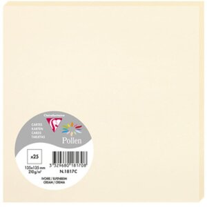 Clairefontaine Pack 25 Karten Pollen 135x135mm 210g...
