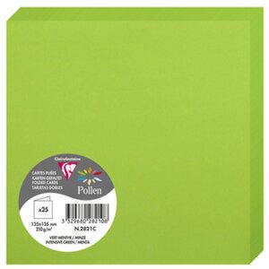 Clairefontaine Doppelkarte Pollen 135x135 mm minze 210g...