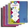 Clairefontaine Evolutiv Book A4+ kariert 120 Blatt Doppelspirale