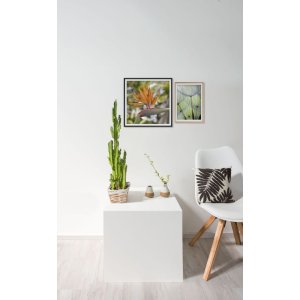 Nielsen алюминиевая рама Accent 50x70 см черная матовая
