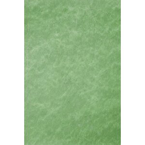 Papier 70x100 cm Vlies Silberfäden grün