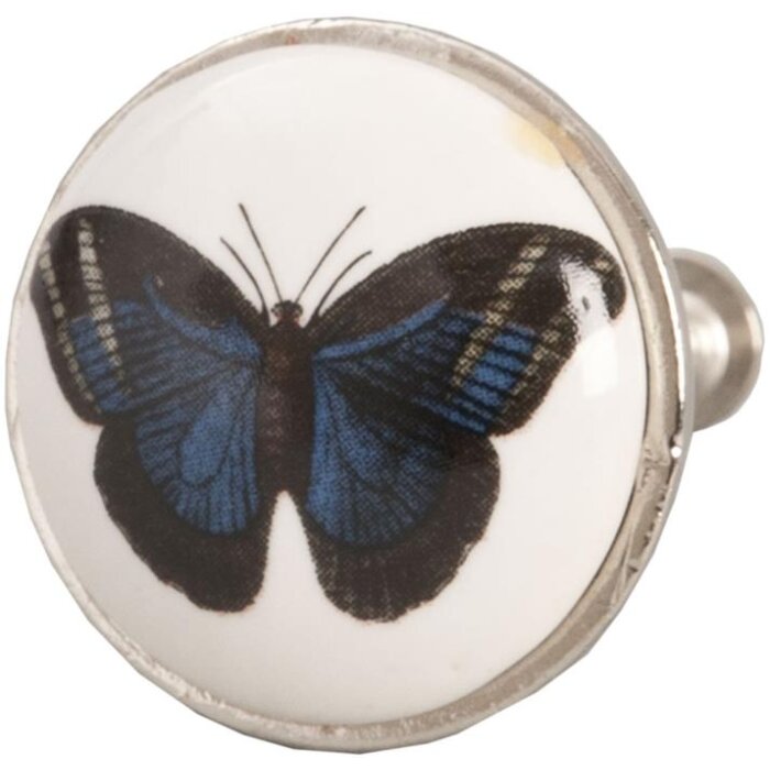 Schmetterling weiß (61904)