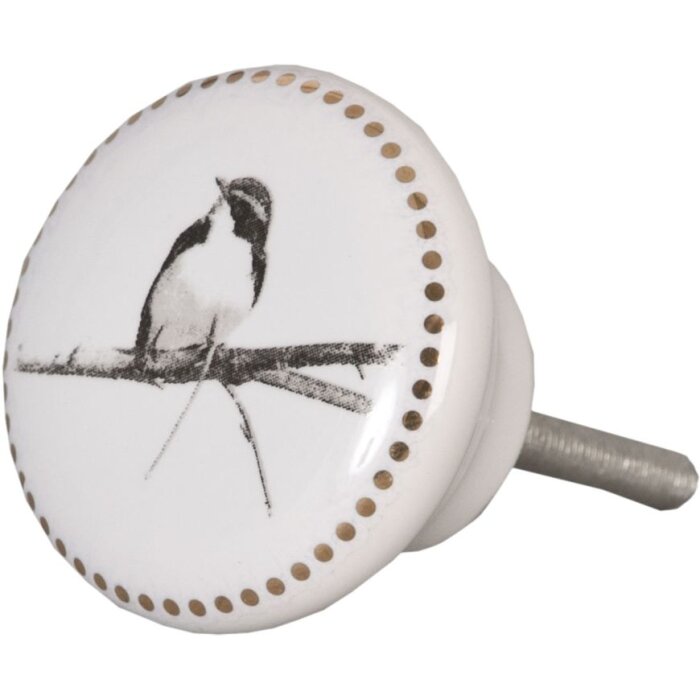 Пташка біла (62344)