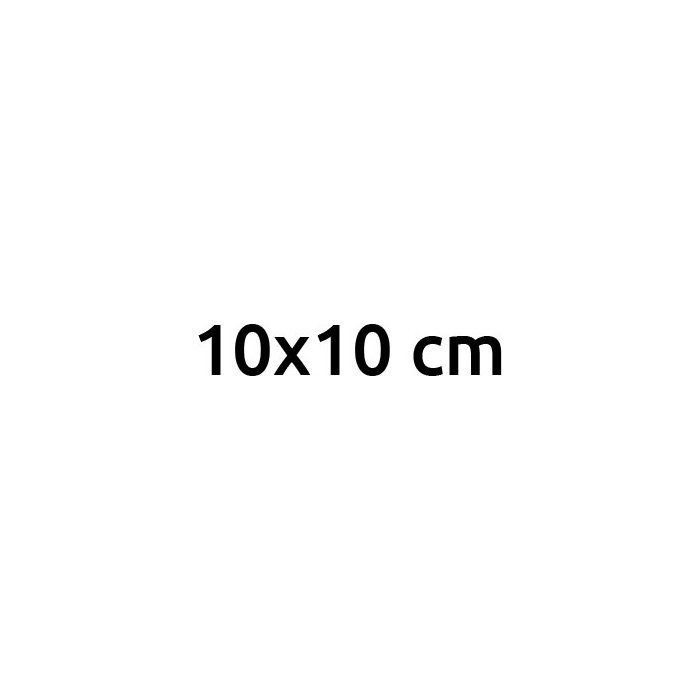 10х10 см