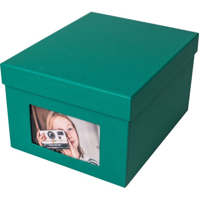 ялиця зелена